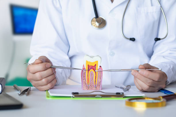 Best Urgent Dental Care for Toothache in North Lewisburg, OH